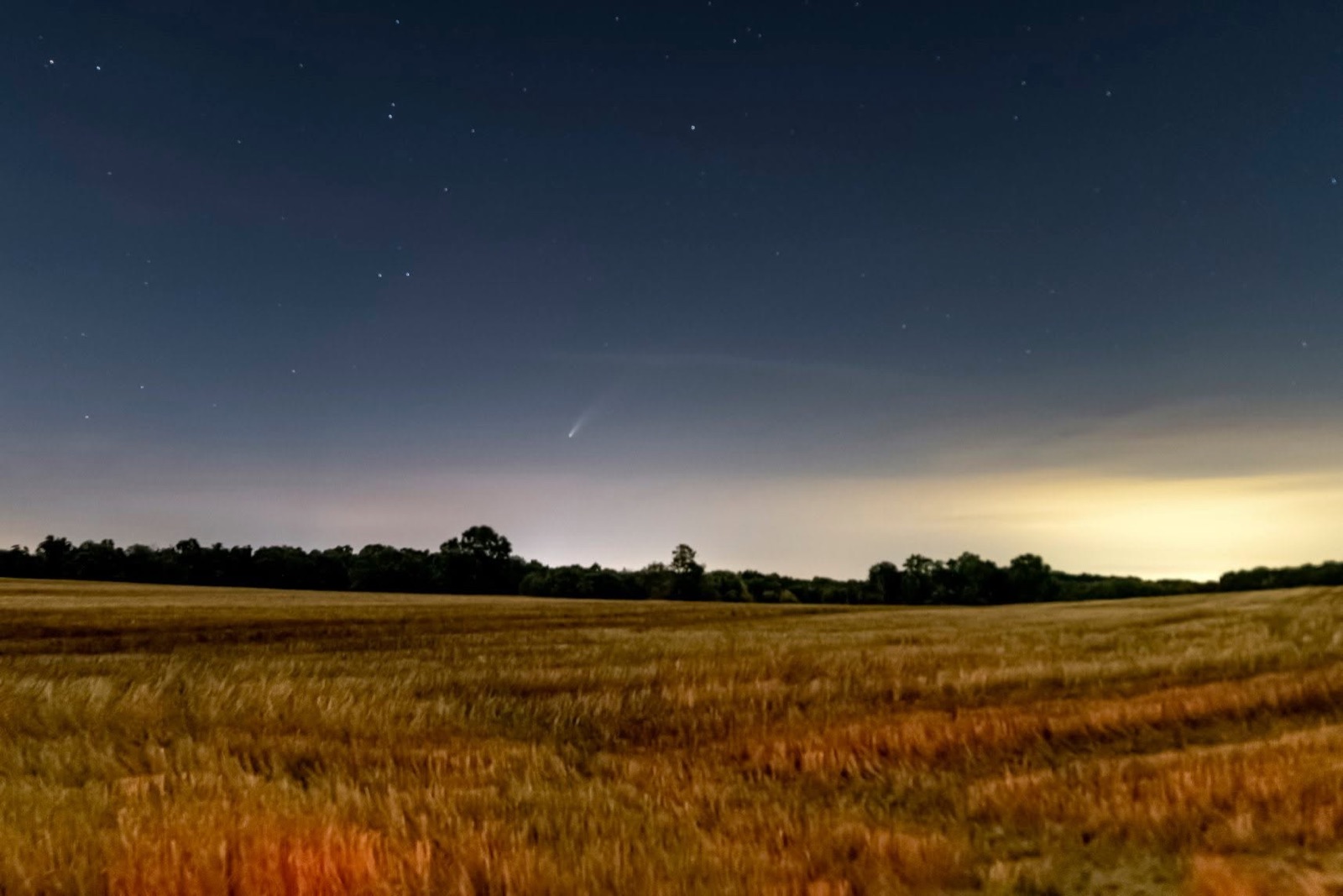 Comet NEOWISE glowing above a wheat field at dusk