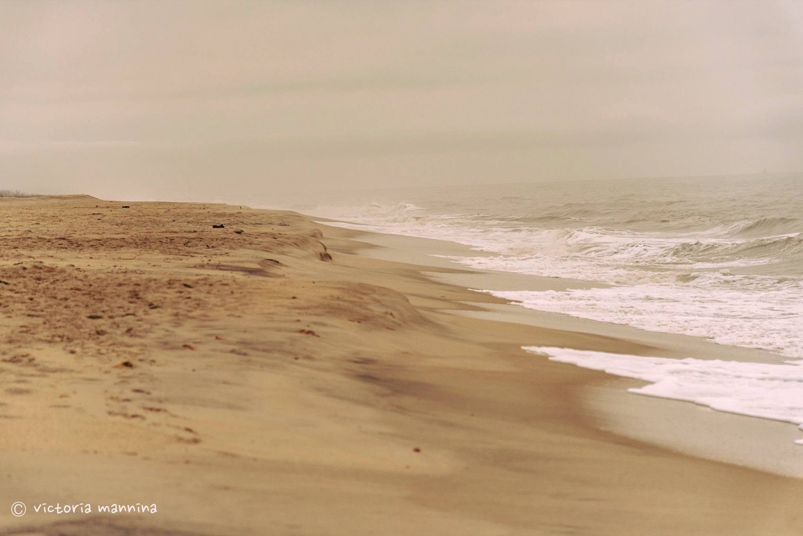 Empty sandy beach with waves rolling in, overcast sky