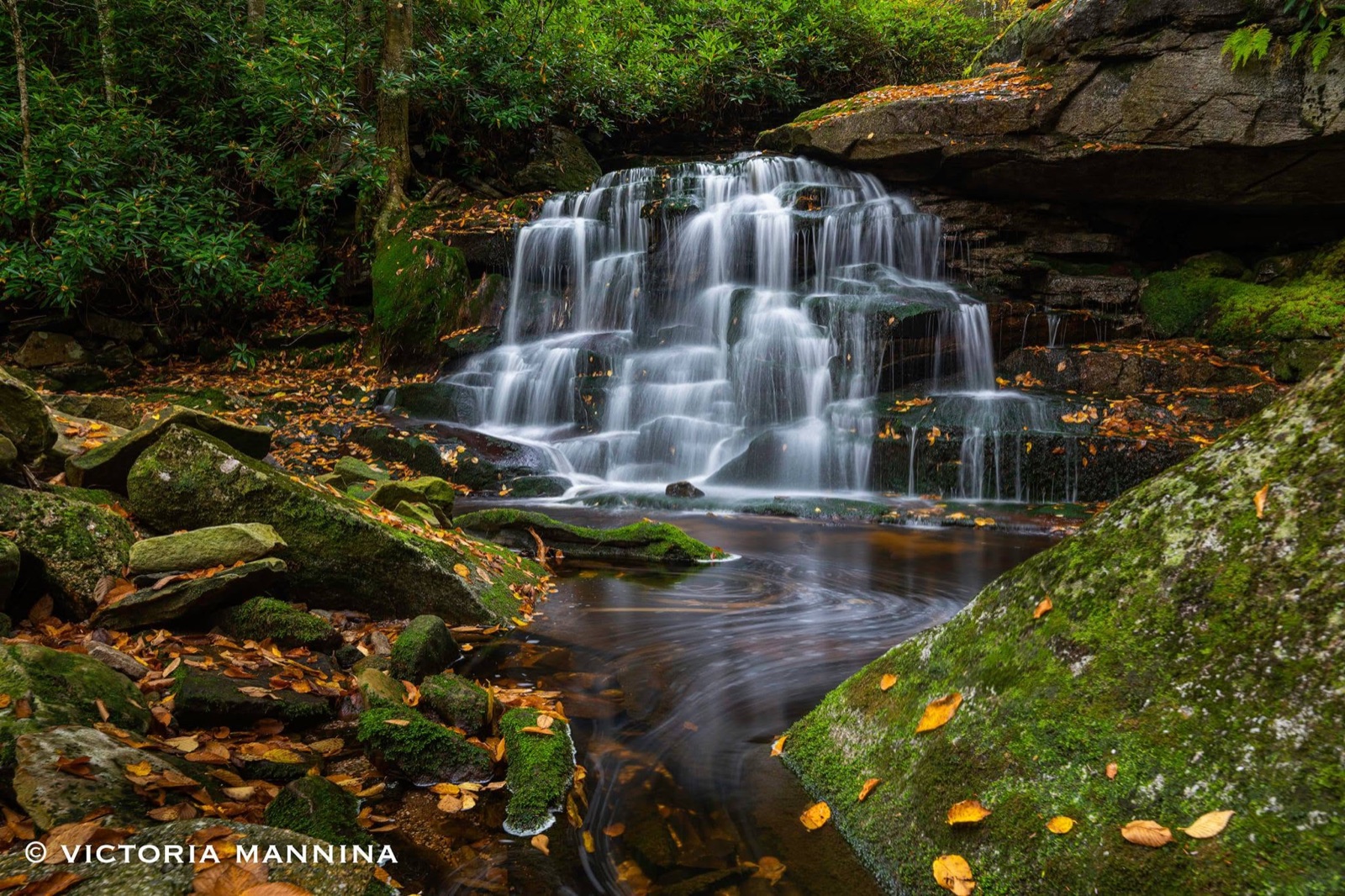 waterfall cascading over mossy rocks, fall leaves