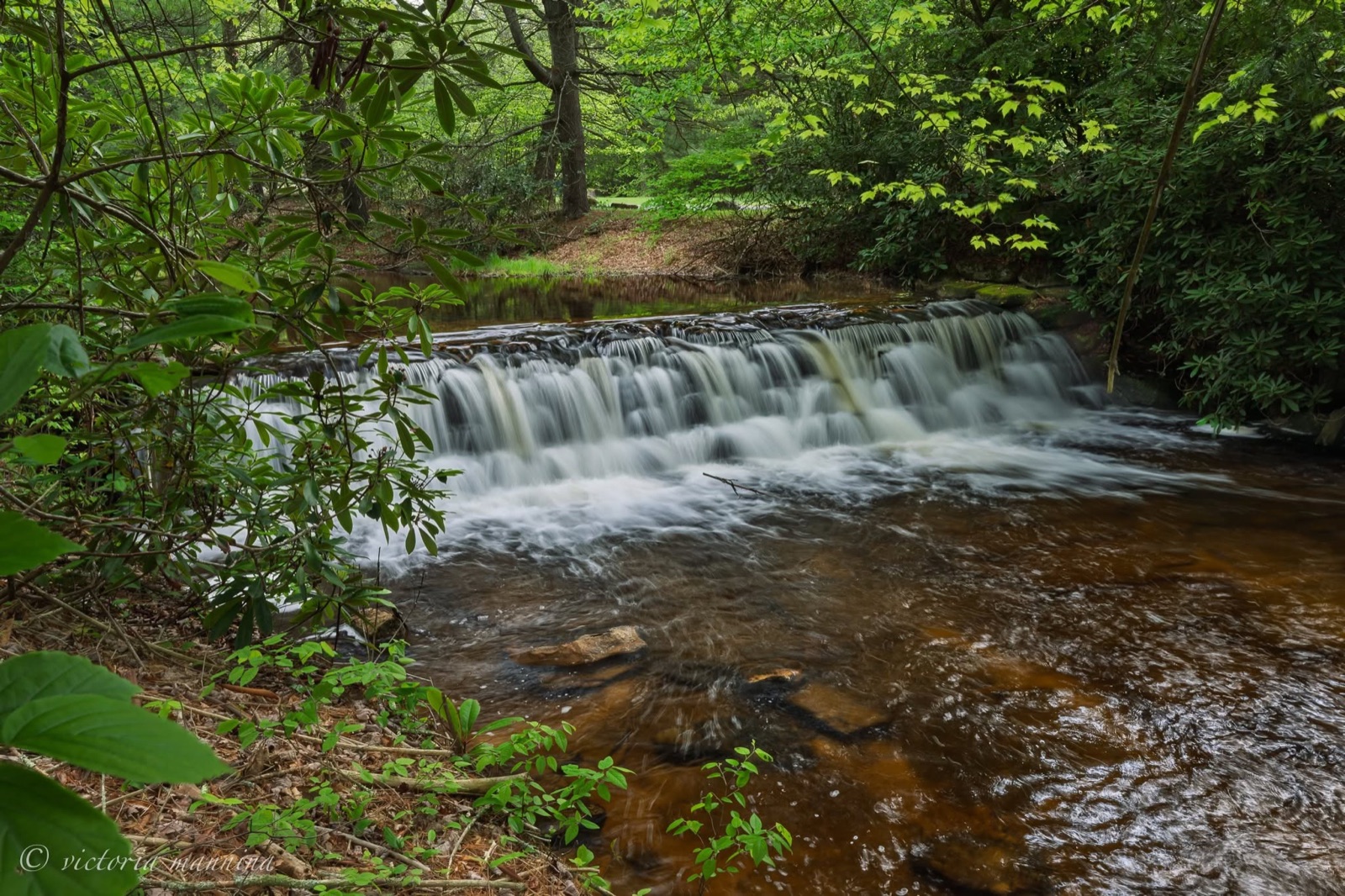 wide multi-tiered waterfall flowing through a green forest stream