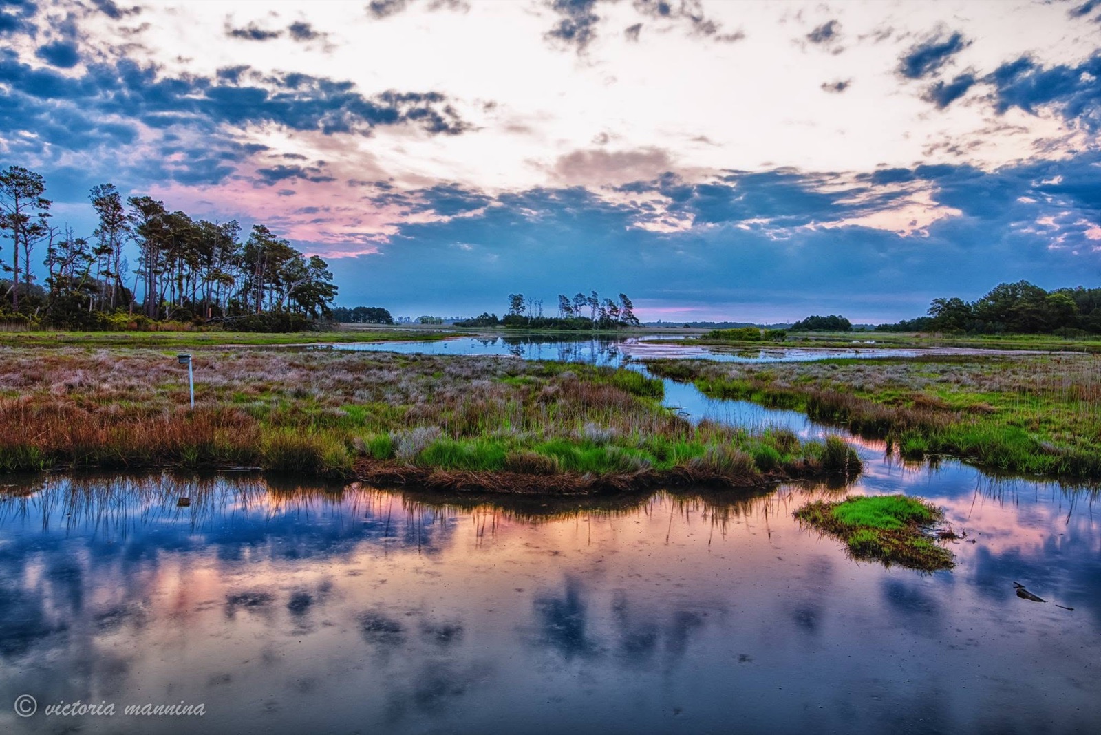 wetland marsh and pond reflecting cloudy sky
