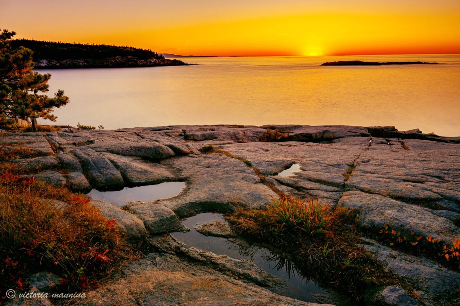 Rocky coastline with tide pools glowing at sunrise